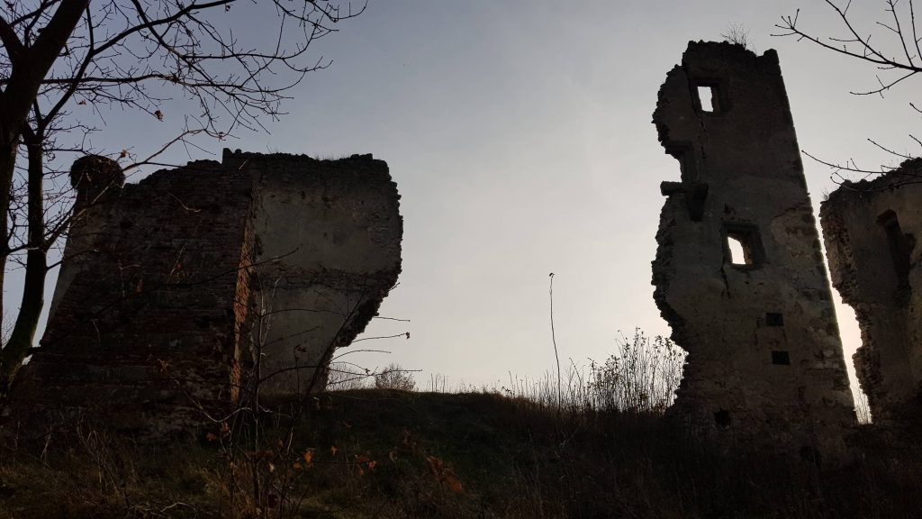 Ruiny zamków odkryte po latach