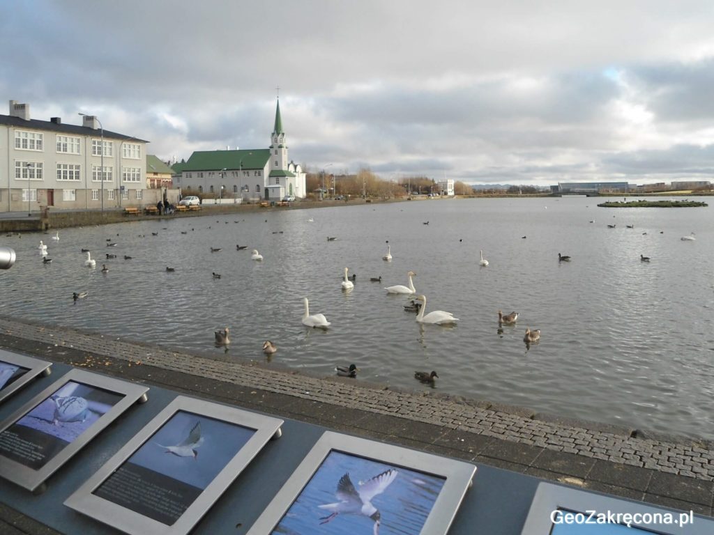 Reykjavik – najbardziej wysunięta na północ stolica na świecie
