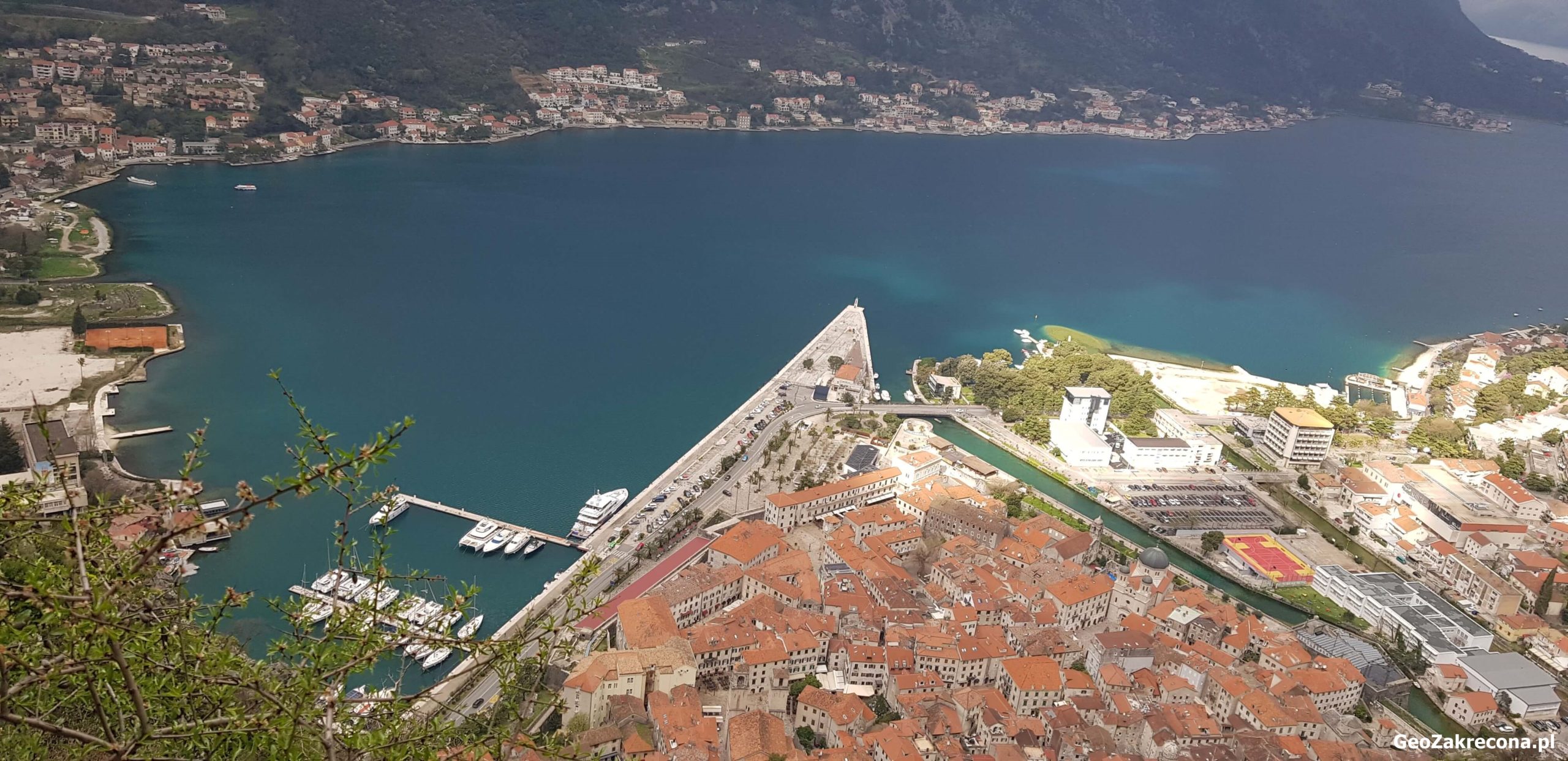 Kotor