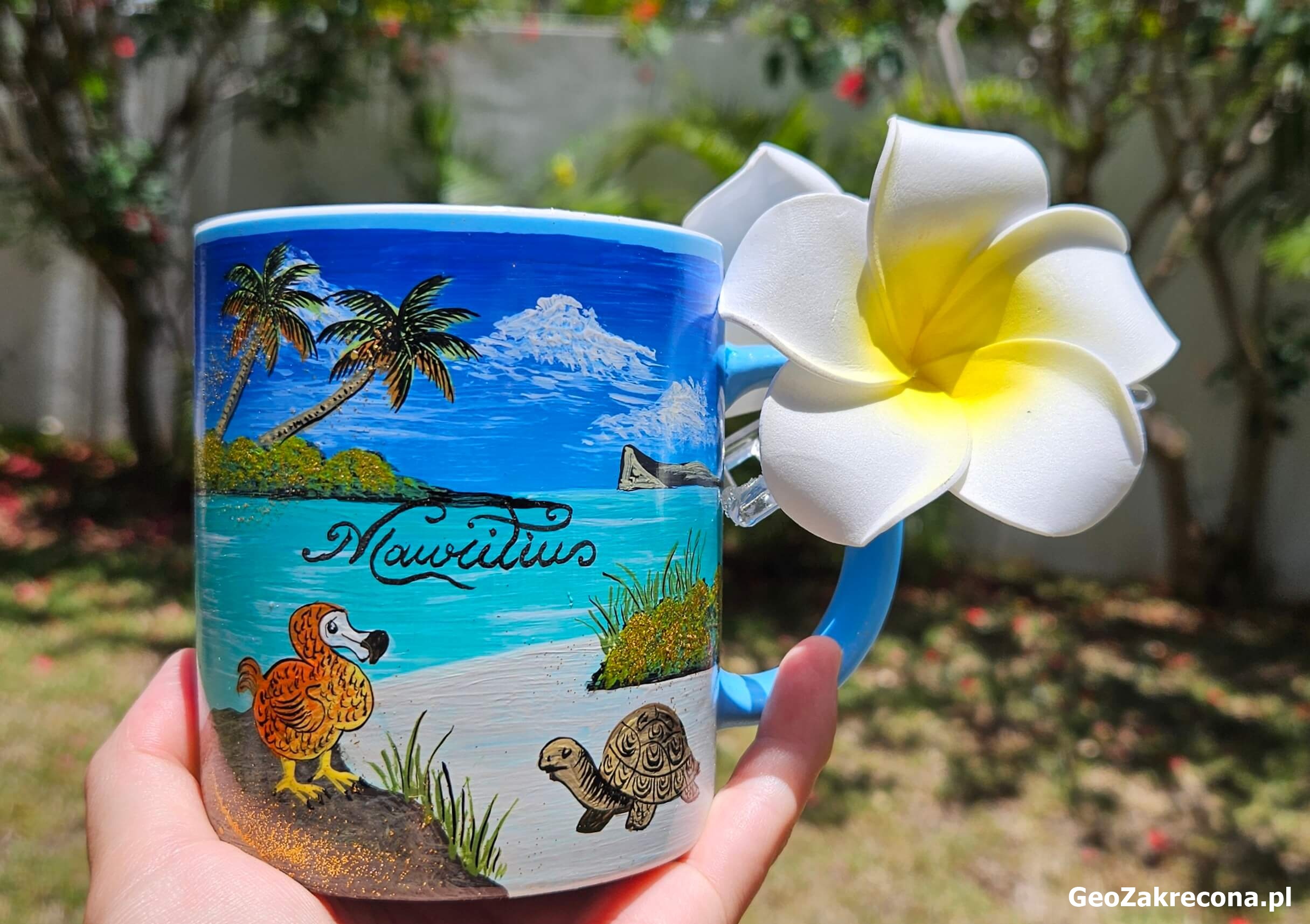 Mauritius dom na wynajem