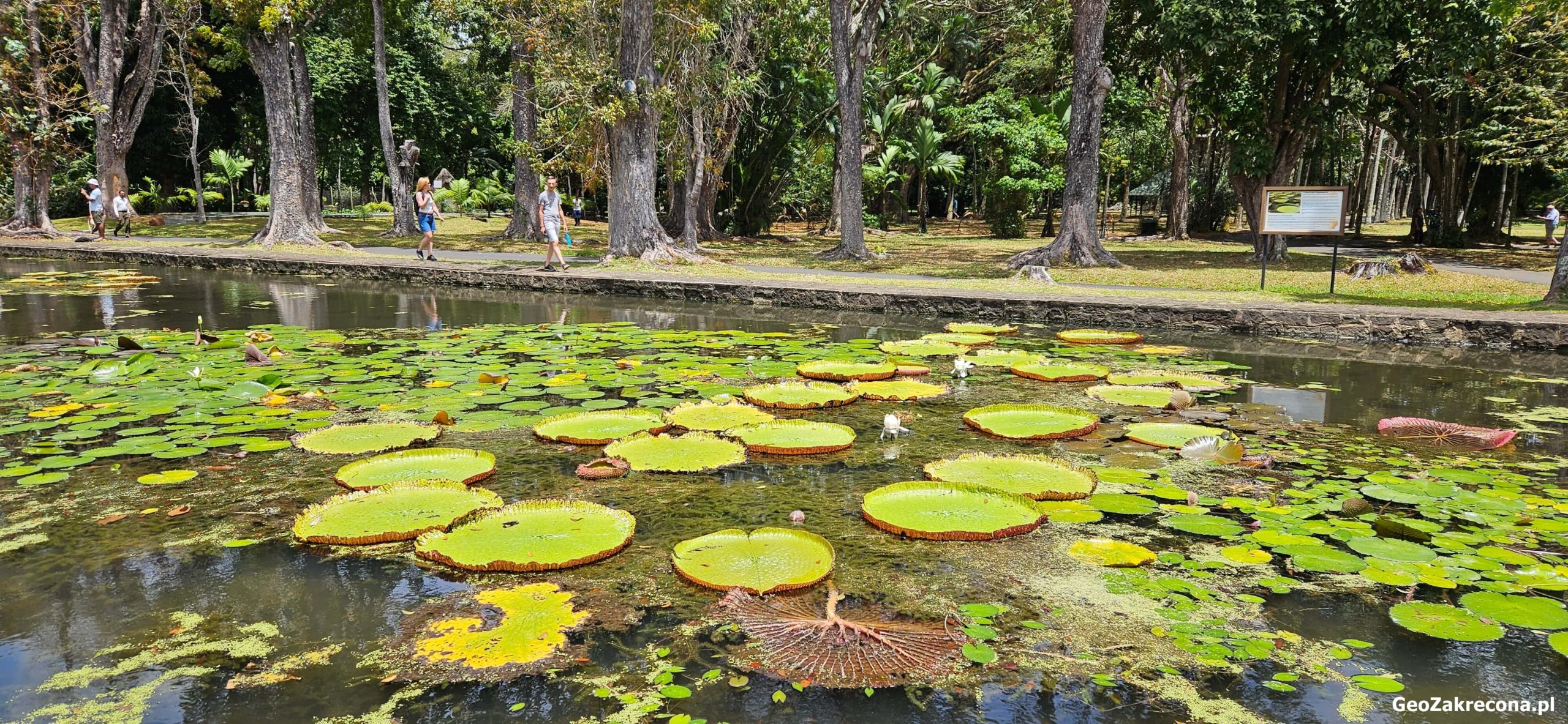 Mauritius