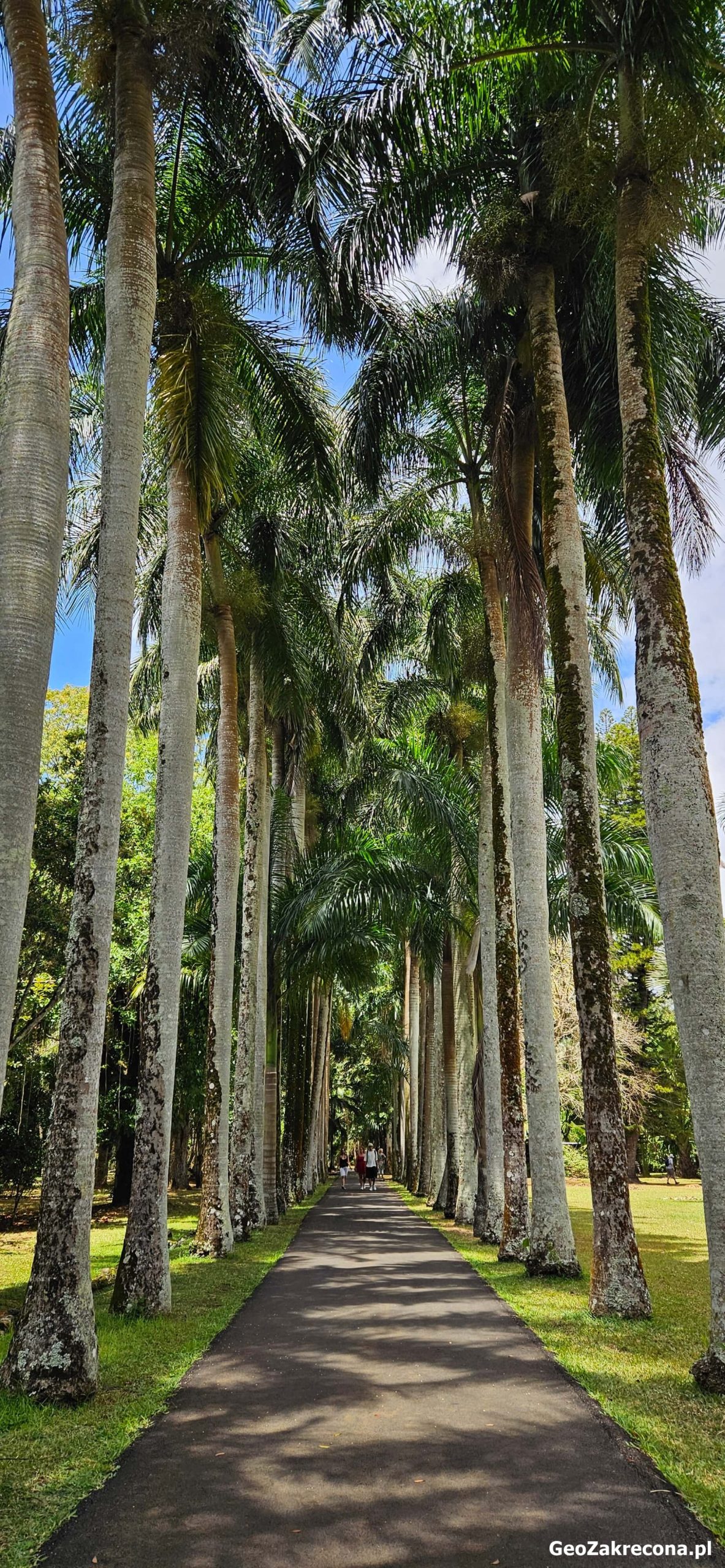 Mauritius