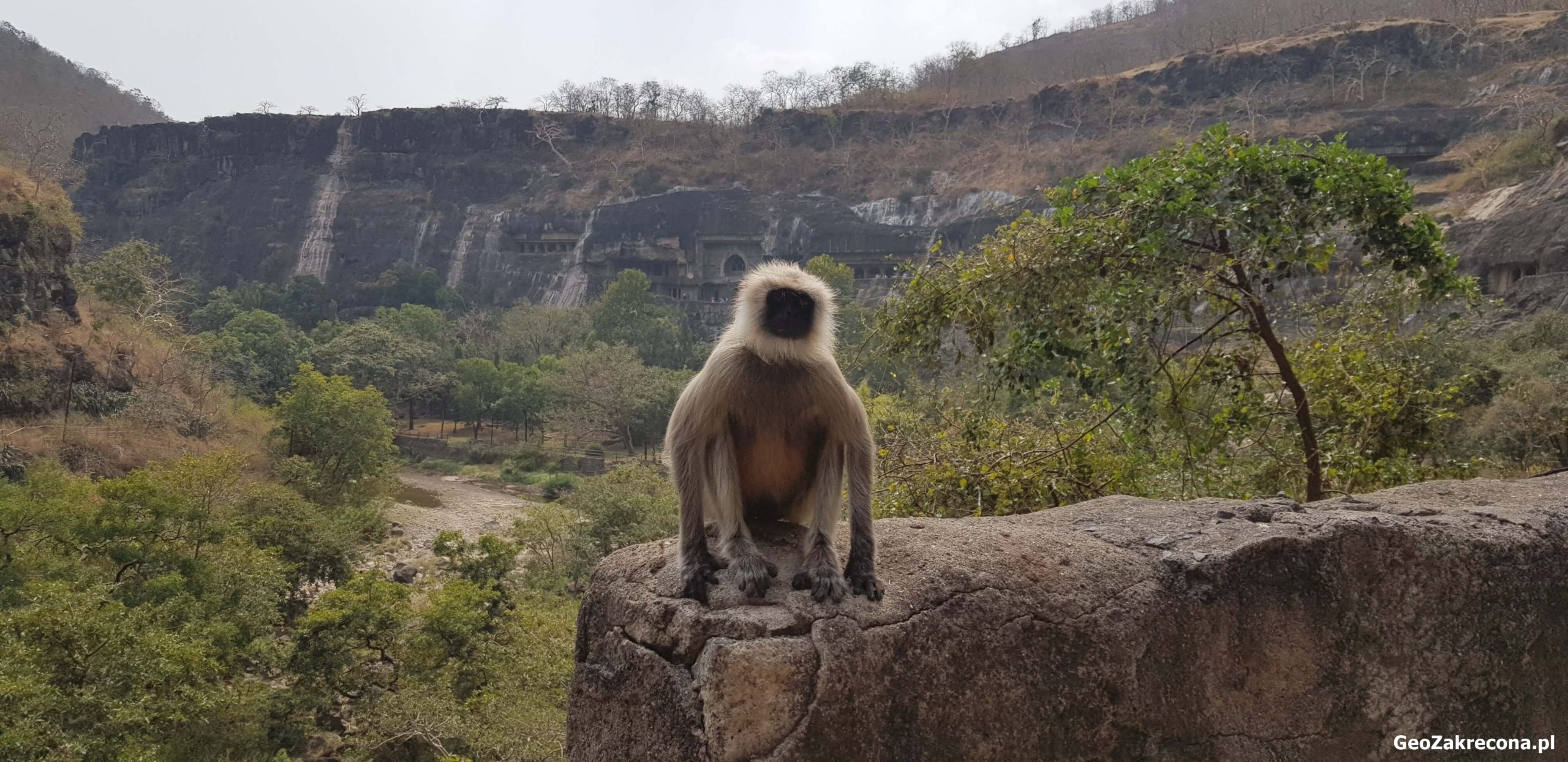 Ajanta Caves