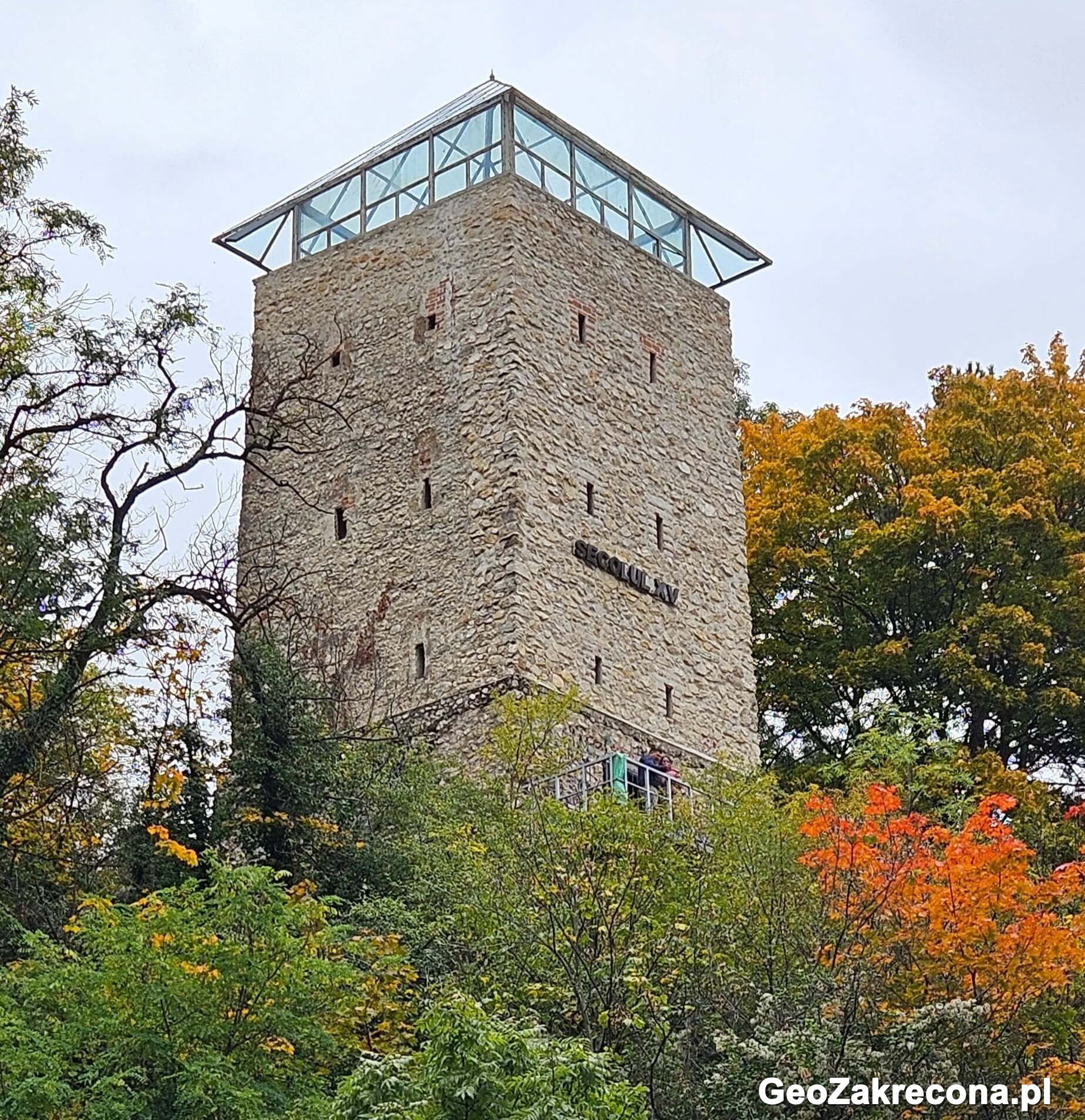 Zamek Draculi, Zamek Peles