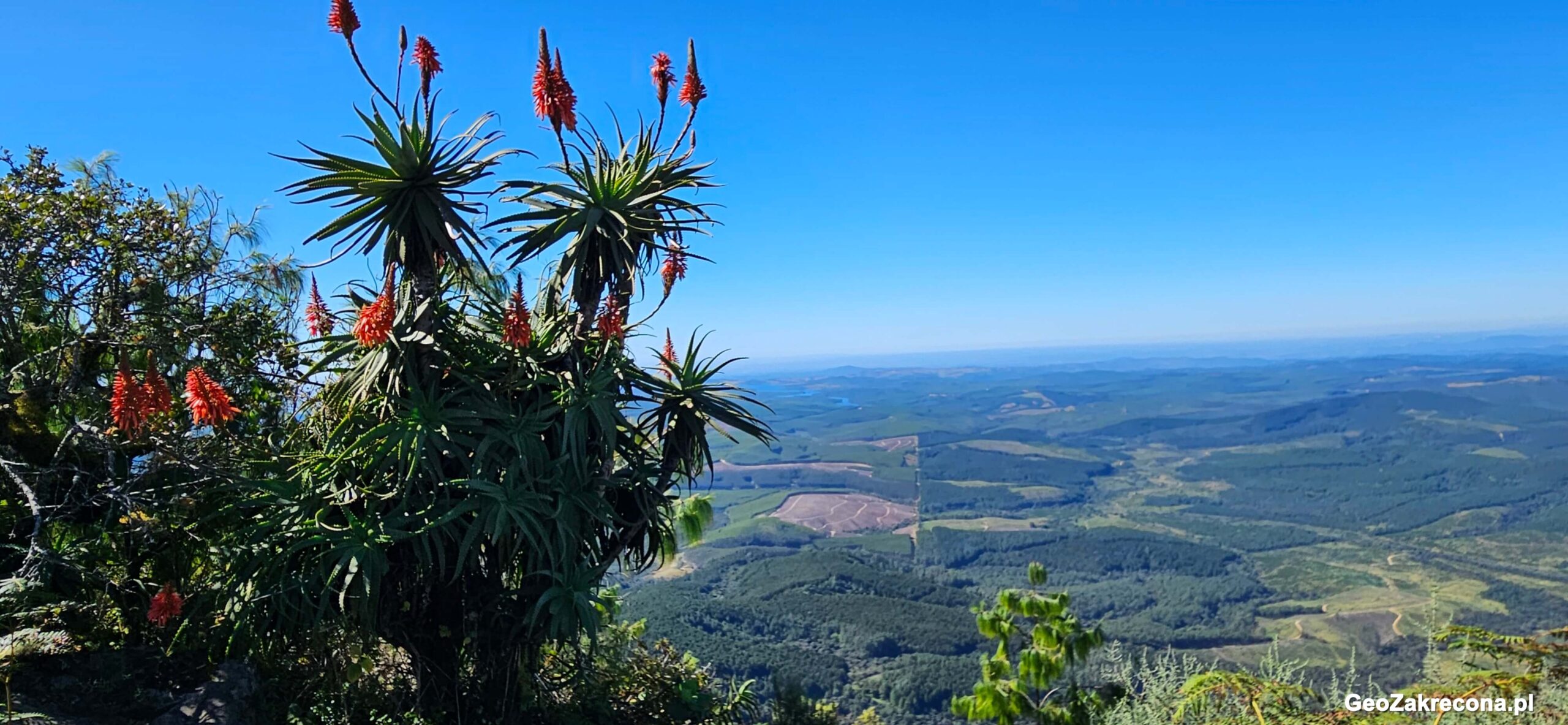 Panorama Route